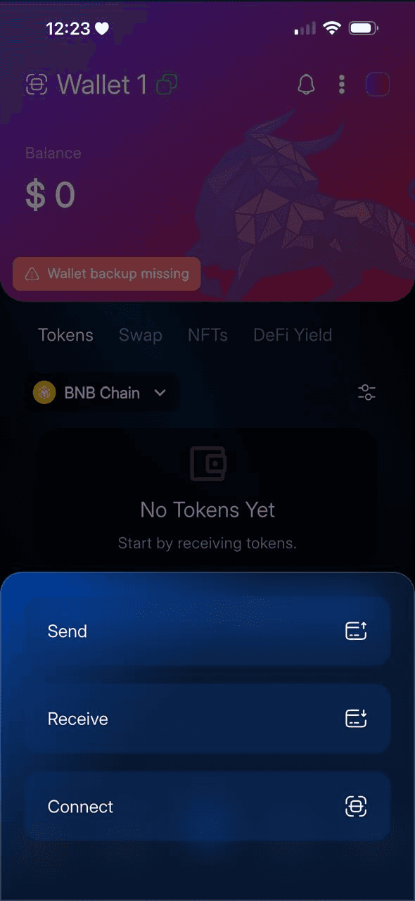 Biometric auth backup